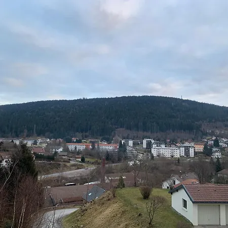 Apartment La Des Feutres 1 Au Rdc Gérardmer