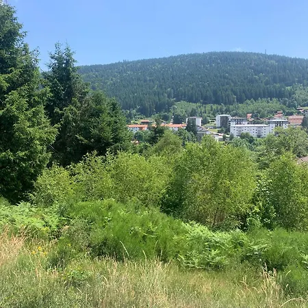 La Des Feutres 1 Au Rdc アパート