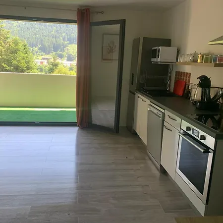 Apartment 2 Au Calme Avec Sejour Et Balcon 1 Au Rdc A Gerardmer