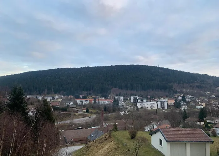 Apartmán La Des Feutres 1 Au Rdc Gérardmer